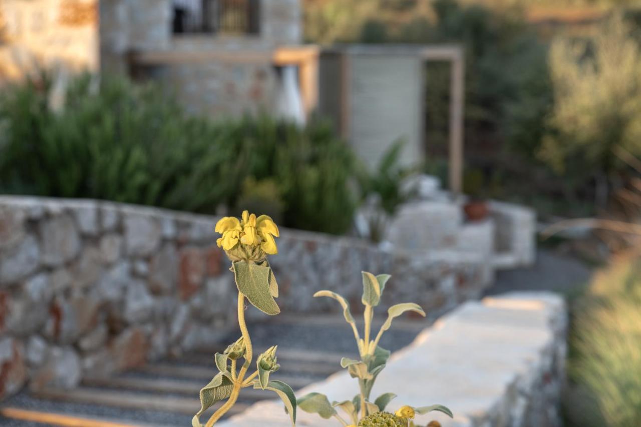 The Olive Yard Apart Otel 3*