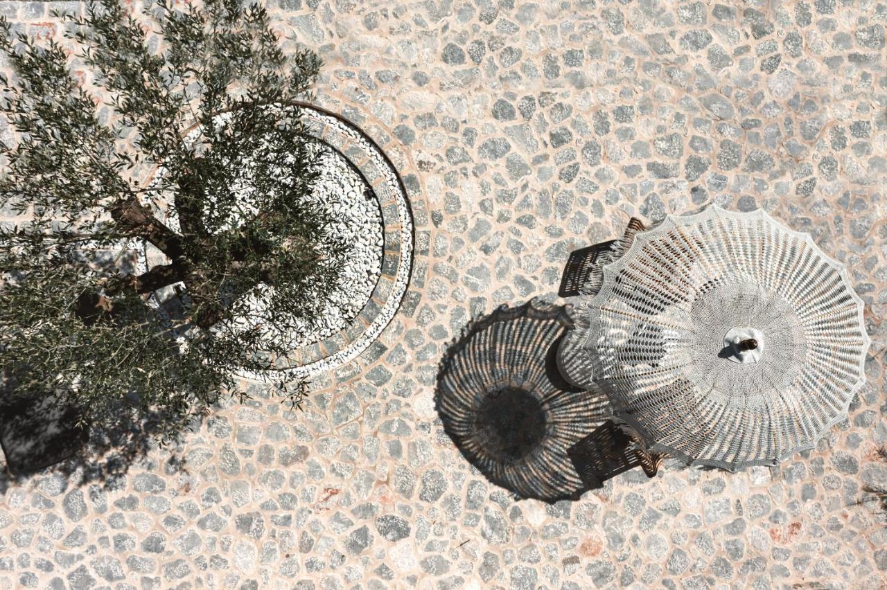 The Olive Yard